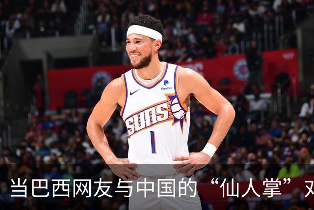 当巴西网友与中国的“仙人掌”对话时